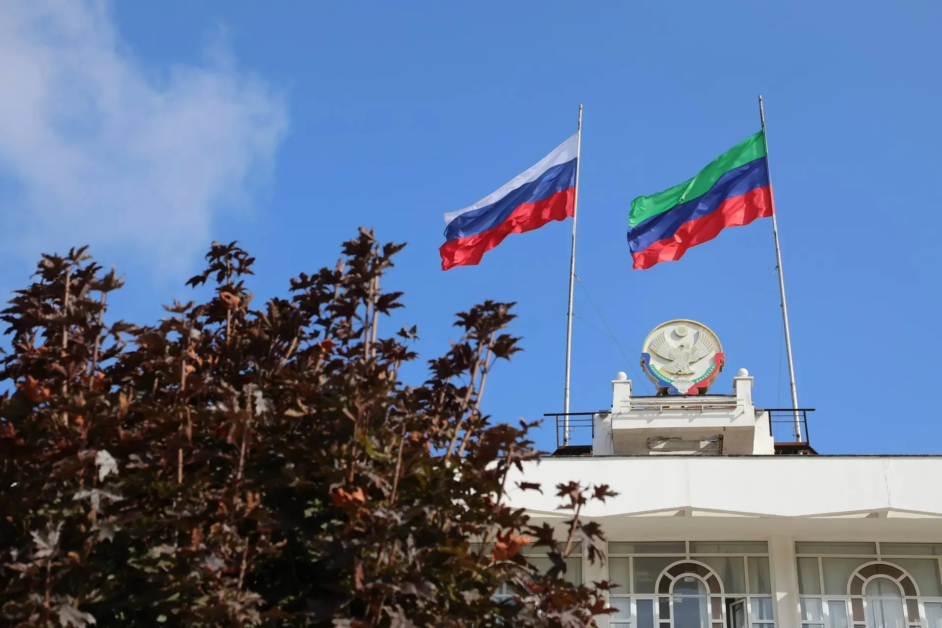 Заур Расулов стал общественным помощником Председателя Правительства Дагестана