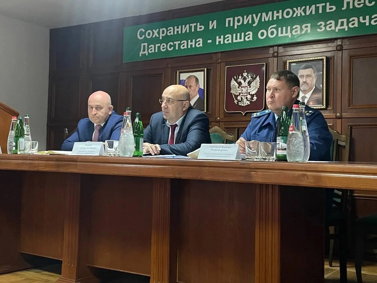 Альберт Хасауов провёл совещание с коллективом Комитета по лесному хозяйству Дагестана